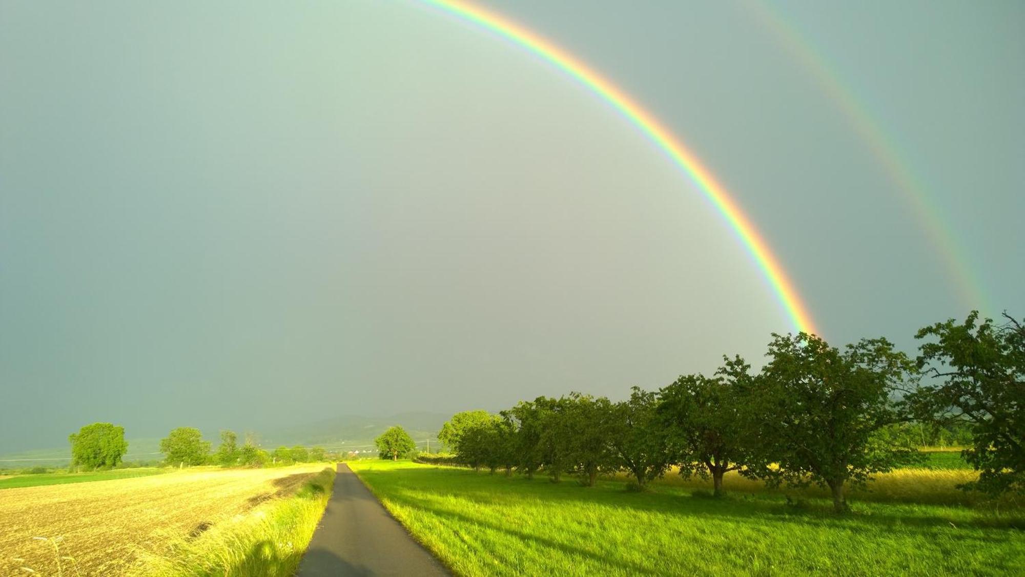 Ferienhof Schloessle ซาสบาค อัม ไคเซอร์ชตูล ภายนอก รูปภาพ