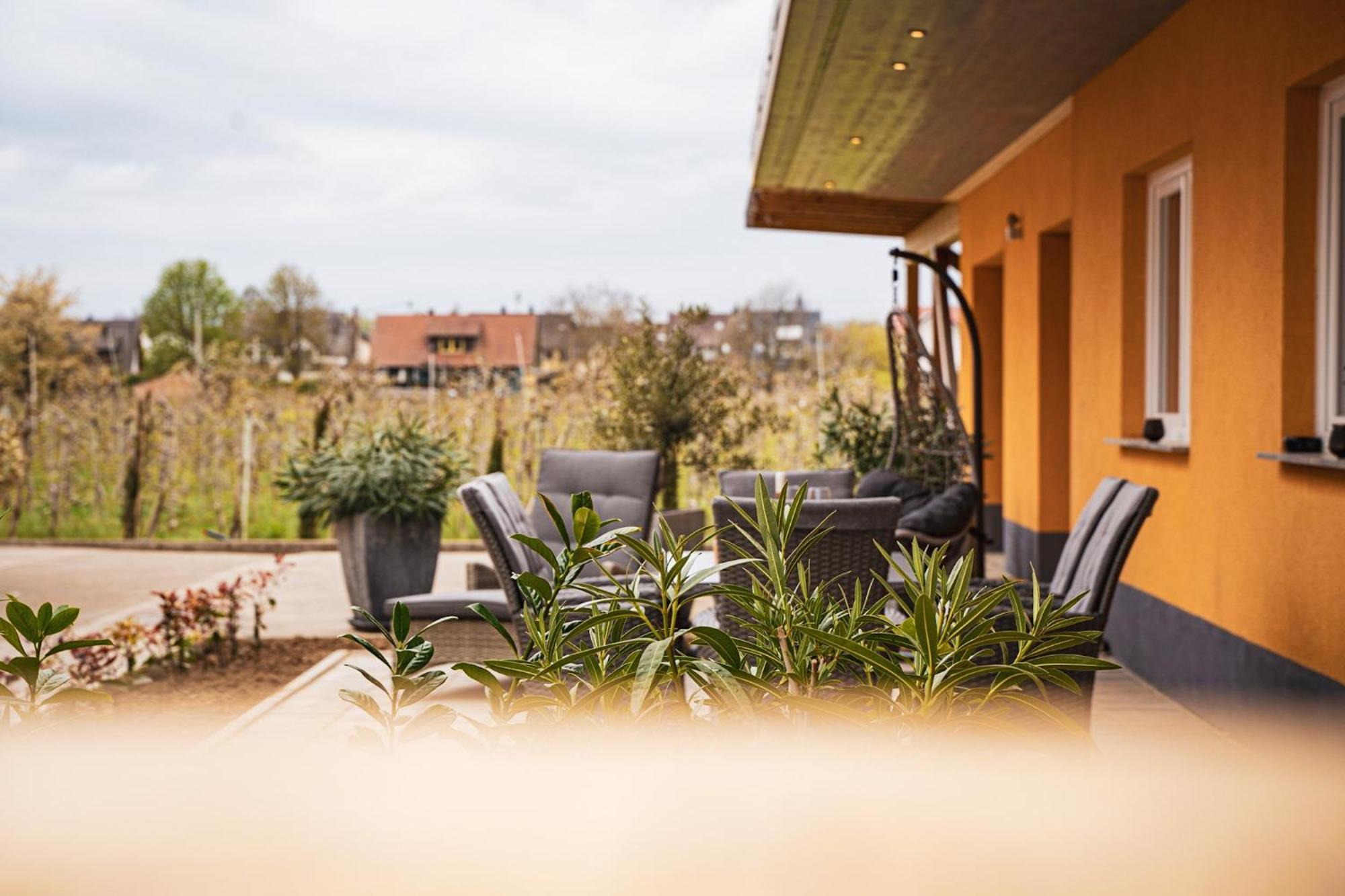 Ferienhof Schloessle ซาสบาค อัม ไคเซอร์ชตูล ภายนอก รูปภาพ
