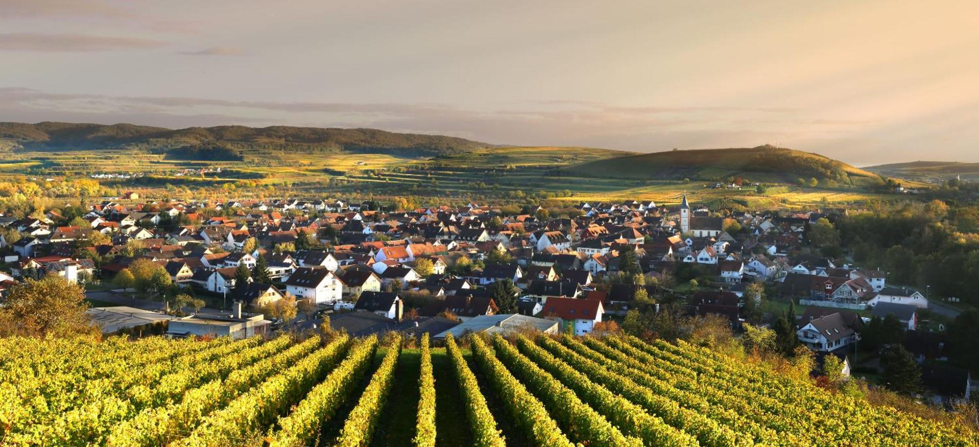 Ferienhof Schloessle ซาสบาค อัม ไคเซอร์ชตูล ภายนอก รูปภาพ